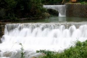 水竹湾森林公园